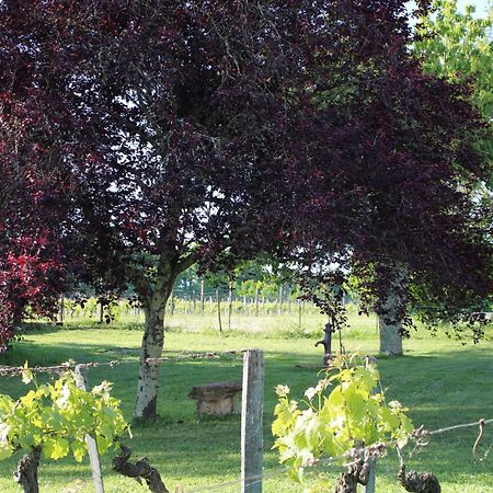 Sainte-Colombe  La Vigneraie De Laura B&B 외부 사진